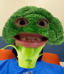 Meet your Posher, Ray